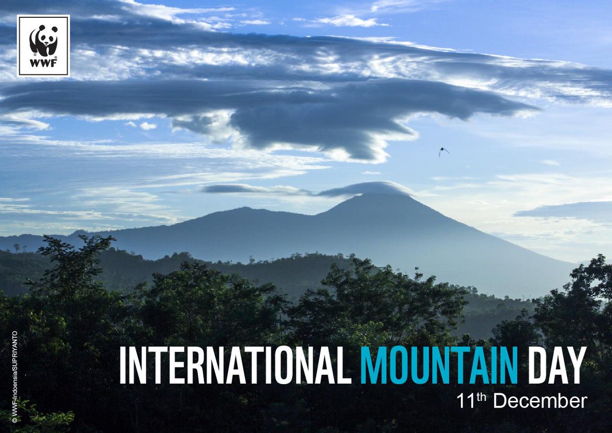 WWF_ID's tweet photo. Selamat Hari Gunung Internasional. Jaga selalu kelestarian gunung. Jangan tinggalkan sampah ketika sobat berwisata. http://t.co/HKyupG5xc8