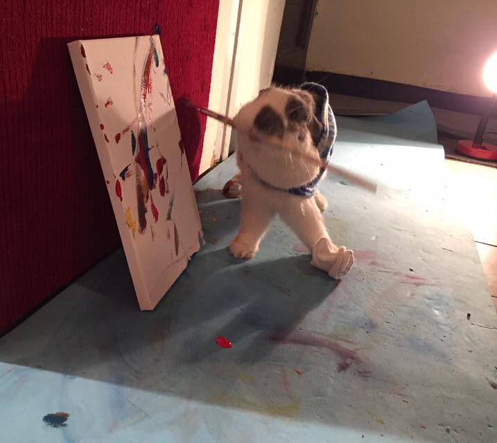 BiniTheBunny's tweet photo. Just another morning... Love you people
#binithebunny http://t.co/He1RDoFt5W
