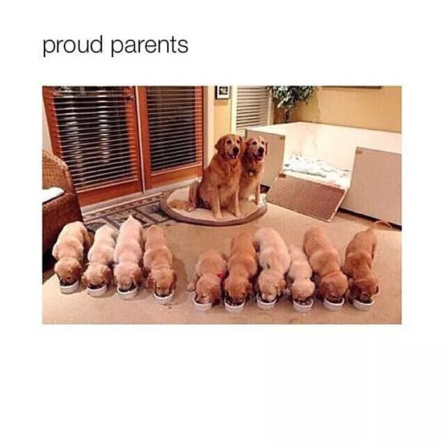 flipinside's tweet image. How adorable!!!! For More: flipinside.com