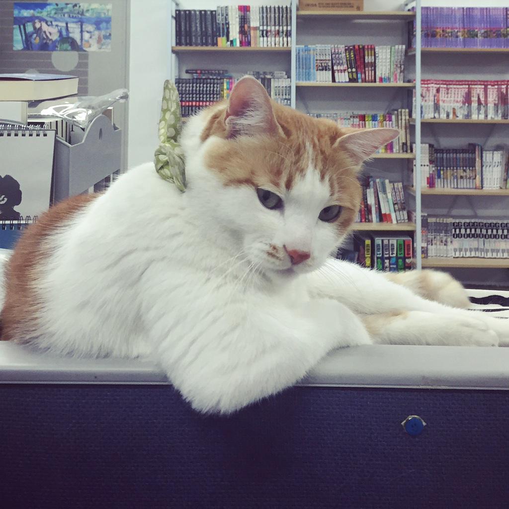 저 늠름한 팔뚝에 안기고 싶다