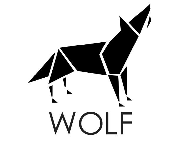 IESModaCF's tweet photo. http://t.co/32Xv4Jjrnw Wolf es una marca mexicana diseñada por  Mónica Domínguez #TalentoIESModa http://t.co/IyHcuvA0St