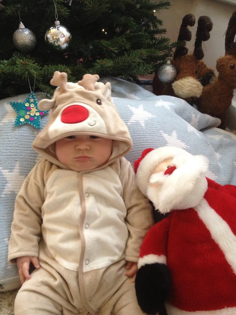 mum1stdoctor2nd's tweet image. &quot;No Father Christmas, I do NOT want a cuddle&quot; #reindeerproblems