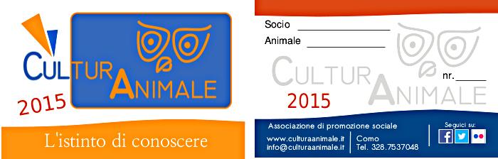 Da oggi (finalmente) tessere 2015 in sede!
#tesseramento #nuovoanno #Como
