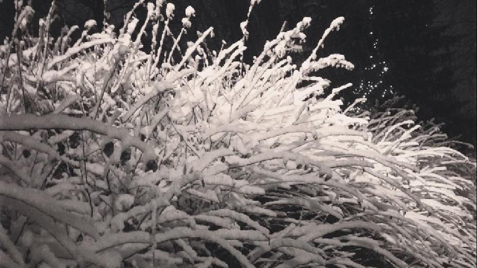 We LOVE your pics! Check out these #Northeast #snow pics from #Damon! wxch.nl/1yDxuCm  Pic-Instagram/maddalla3