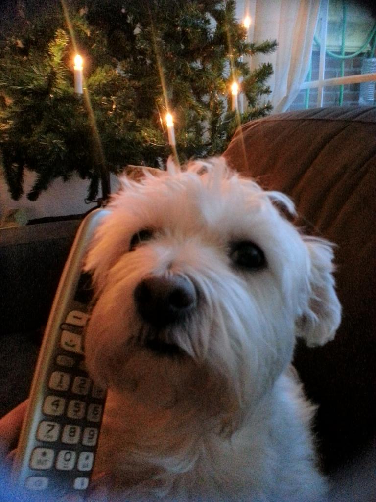 Belselfie 💖💖#dailynoise