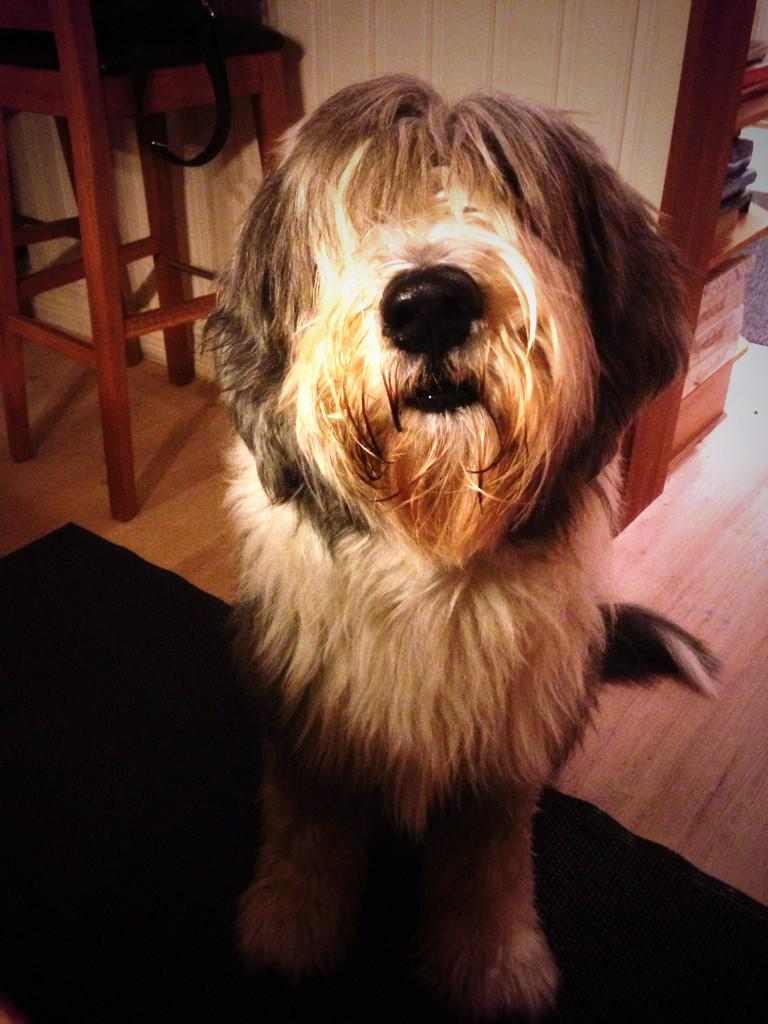 Linneazoegling's tweet photo. Tror han vill nått http://t.co/RfDiAfIIhk
