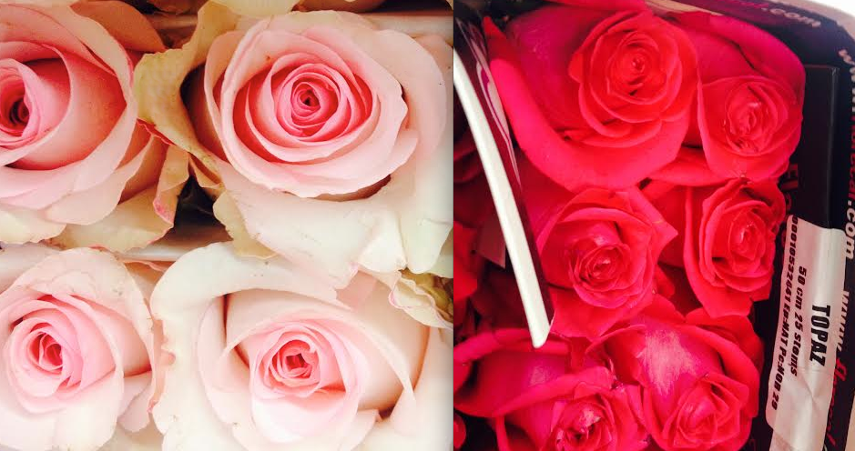 Flowerlink tweet media