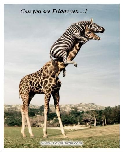 FermanaghAtACli's tweet image. We're nearly there people!
ataclick.ie
#WeekendsMatter #livingfortheweekend