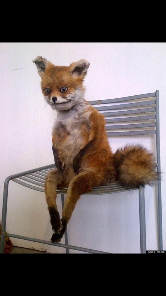 jam_boyz's tweet photo. Da moment when Tebow wakes up after a long weekend of drinking, sits on his bed and contemplates life. http://t.co/s0FRr230JC