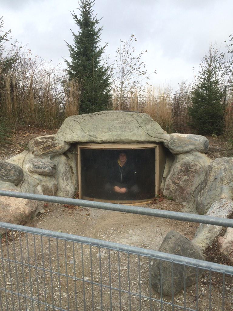 Mdewey09's tweet photo. @mandybirch19 @Tanner__Martin @mleidl97 tbt the good times at the zoo when this cat almost killed me #schooltrips http://t.co/4OpWEvNKZY