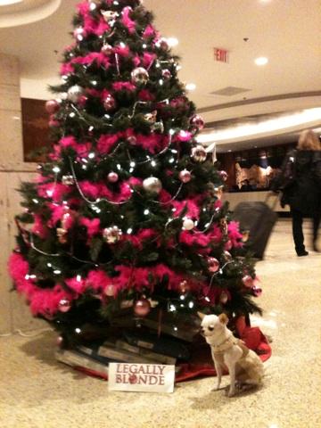 tessandi_van's tweet photo. #tuts2014 Legally Blonde tree. Tess/Bruiser http://t.co/gzjjNzgTOj