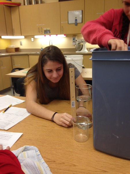 Urbana HS (MD) tweet media