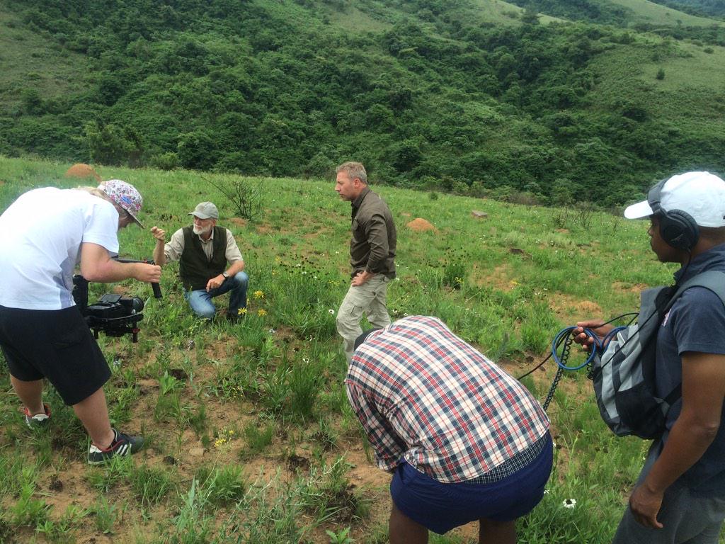 Ron Mackenzie tweet media