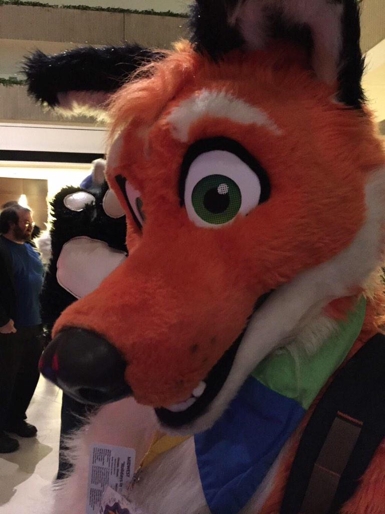 FoxedItUp's tweet photo. Oh lord so I will be getting to be in fursuit and pick on programmers?! *evilgrin* Best work day ever! #SRHackaThon http://t.co/jBj4xlUolm
