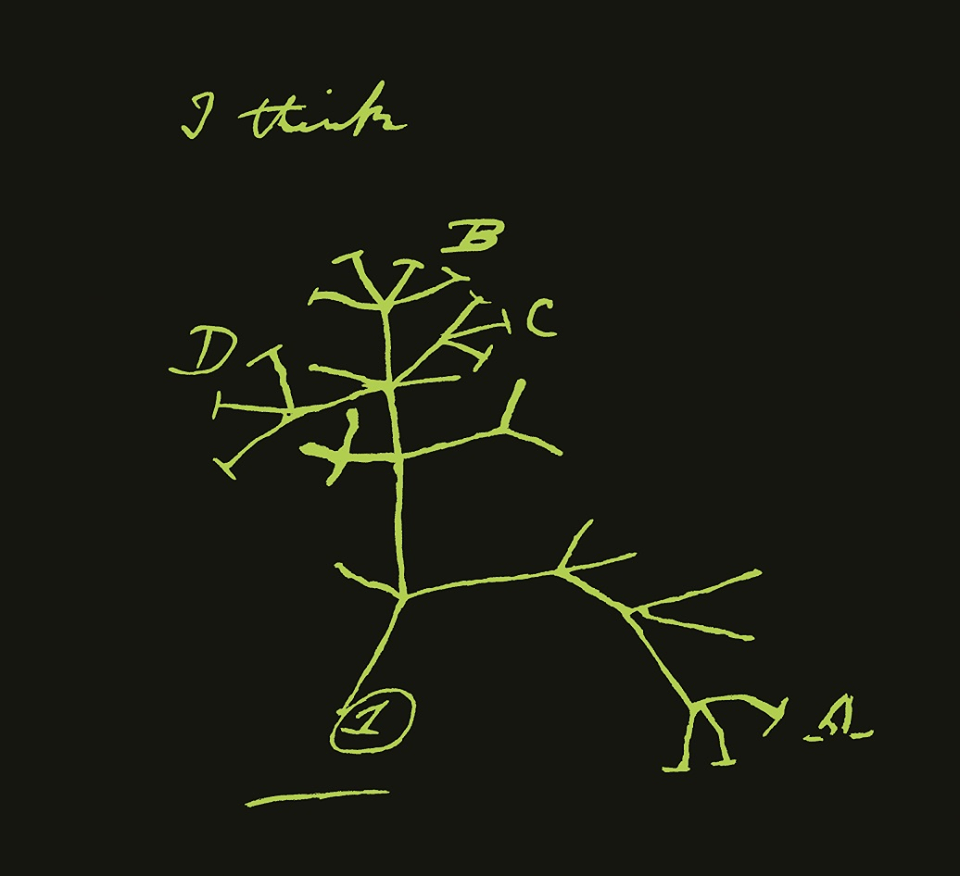NHM_London's tweet photo. Science as Revolution by Sir Paul Nurse starts at 19.45 tonight. Follow #ASL2014 and @NHM_Live for our live coverage http://t.co/Phn9W1WUop