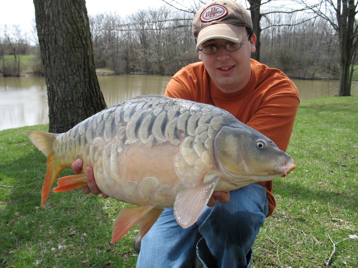 Hunting and Fishing: Big Carp Fishing photos , big carpe peche a la car... bit.ly/13dfG9i