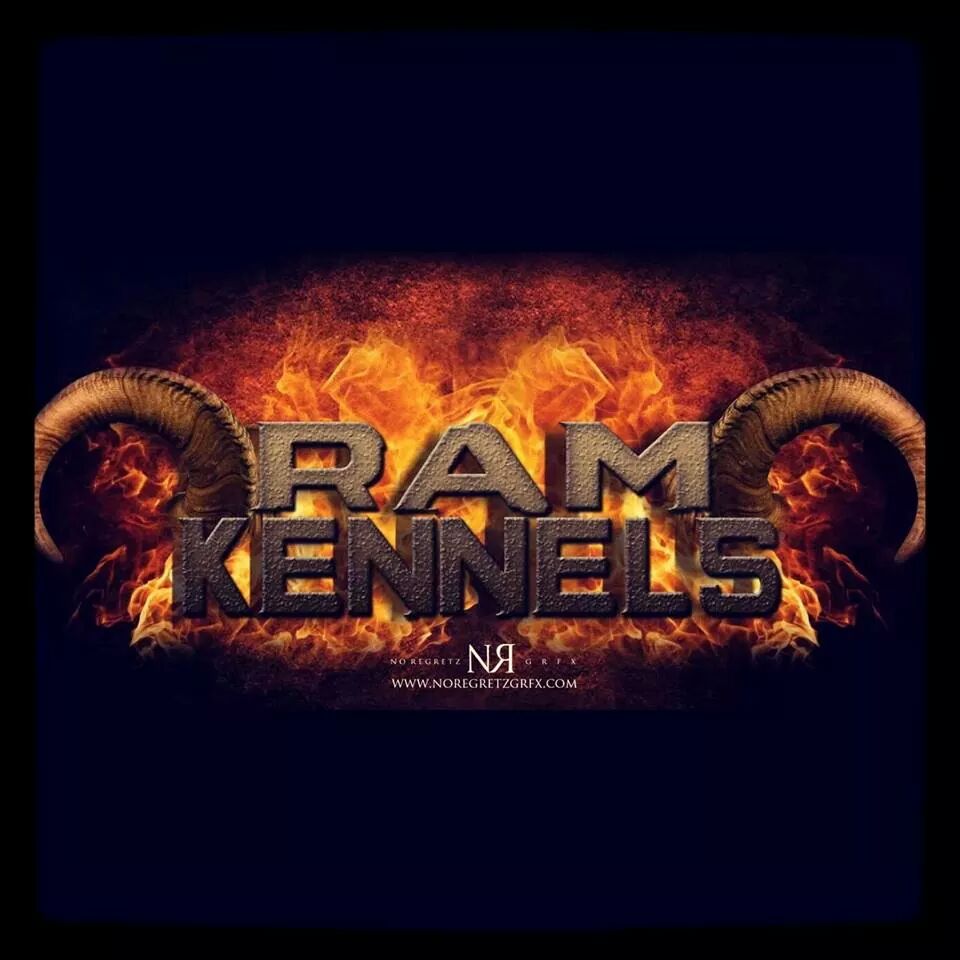 focusdmanagement tweet media