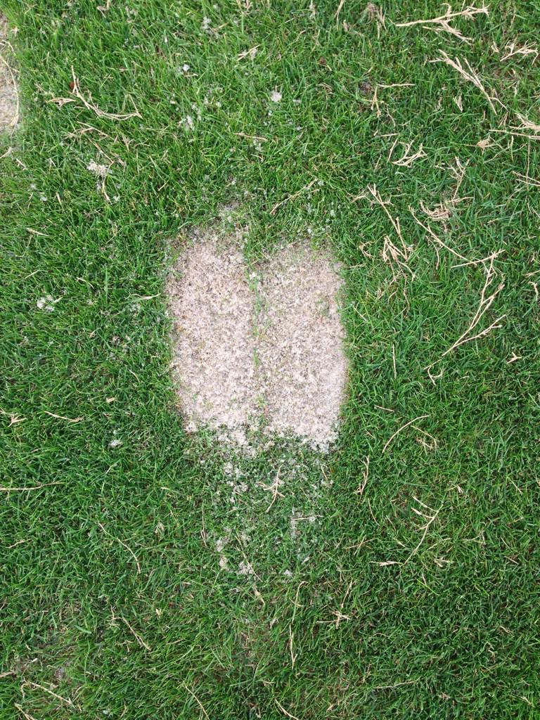 Got lucky twice <a href="/OlinBrowneJr/">Olin Browne Jr.</a> <a href="/PlaneTruthGolf/">Plane Truth Golf</a>