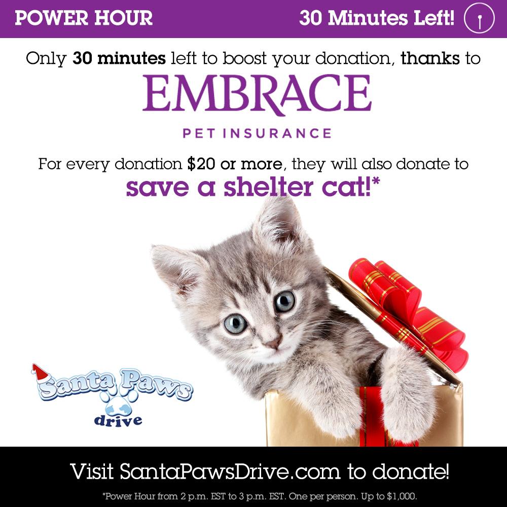 Santa Paws (@santapawsdrive) on Twitter photo Only 30 min left! Donate 20+ and @EmbracePetIns will donate to save a shelter cat! bit.ly/SPDdonate #SPD2014 Only 30 min left! Donate 20+ and @EmbracePetIns will donate to save a shelter cat! bit.ly/SPDdonate #SPD2014