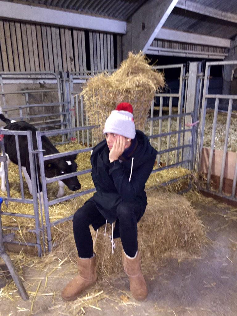 JordiWhitworth's tweet image. Chillin with a Cow😜🐄