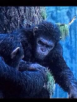 Caesarloove's tweet photo. Me and my son blue eyes @blueyestheape http://t.co/Emizw6XbNW
