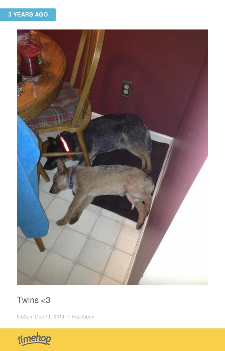 kayathey's tweet photo. #tbt Essie &amp; Dez 😩 they were both so tiny  http://t.co/qzC1IuSxRo http://t.co/3frNVYfWzm