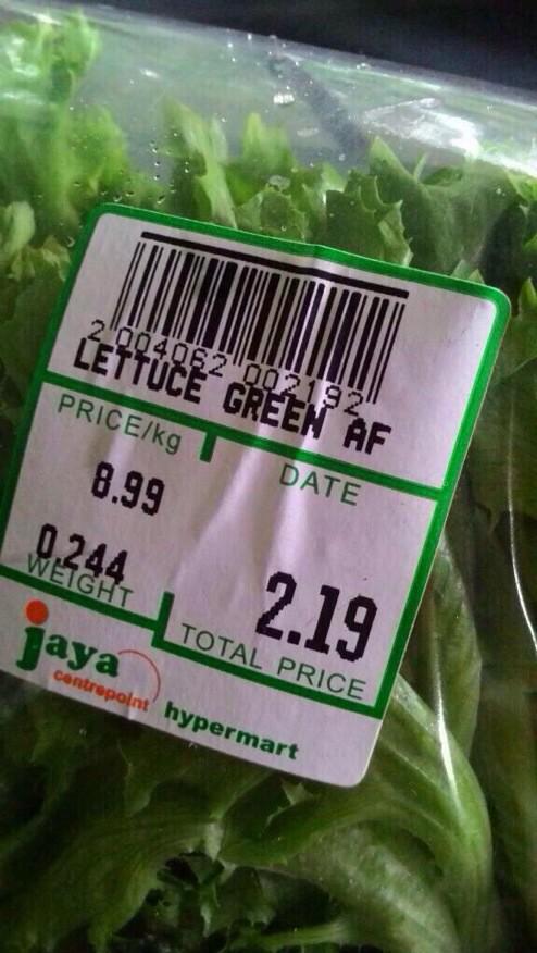 CyberDrvg's tweet photo. "How green is the lettuce?" http://t.co/7xVKiy8VaF