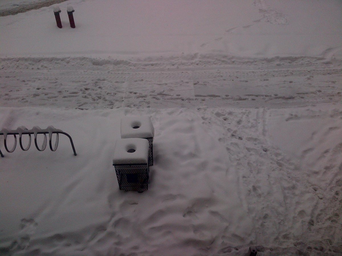 SaveOurShoesTO's tweet photo. Bad day for shoes #Toronto #shoedestroyer #stopsaltingnow #fashion http://t.co/dUPVtwtdqu