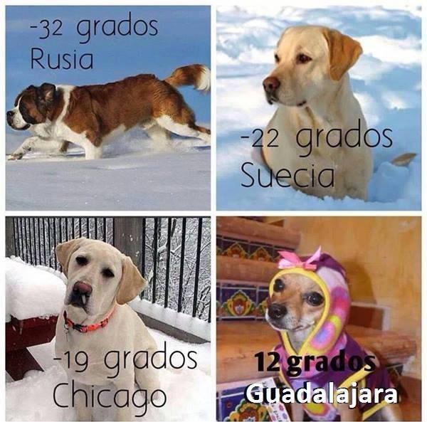 Genesaret_'s tweet photo. JAJAJAJAJAJAJAJAJA 😂😂😂😂❤️❤️ http://t.co/cqc8DeBcTa