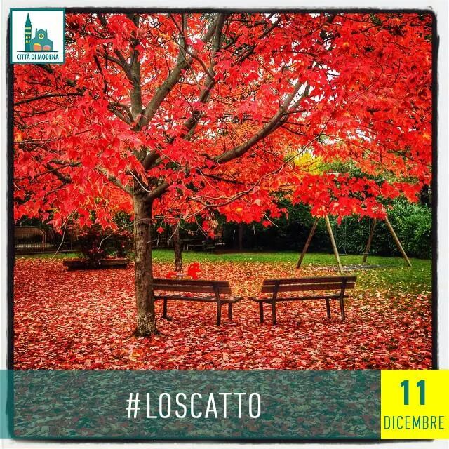 cittadimodena's tweet photo. Lo scatto. Il parchetto di Stradello Luzzo by fabrizioventuri. #loscatto #modena http://t.co/md6JGokzV6