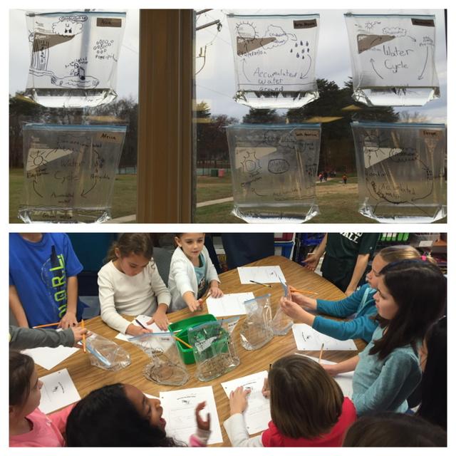 MsRicks3rdGrade's tweet image. Experimenting with the water cycle! #thirdgradescientists