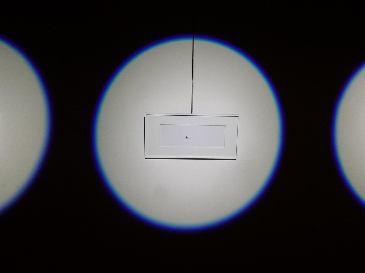 "Surrounded by Serenity" Evelien Gransjean in Huisgalerie De Drie Spieringen tijdens LichtKunstGouda 2014. Aanrader!