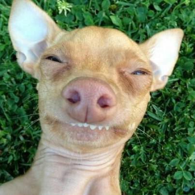 When the customer stinks but you try be professional about it