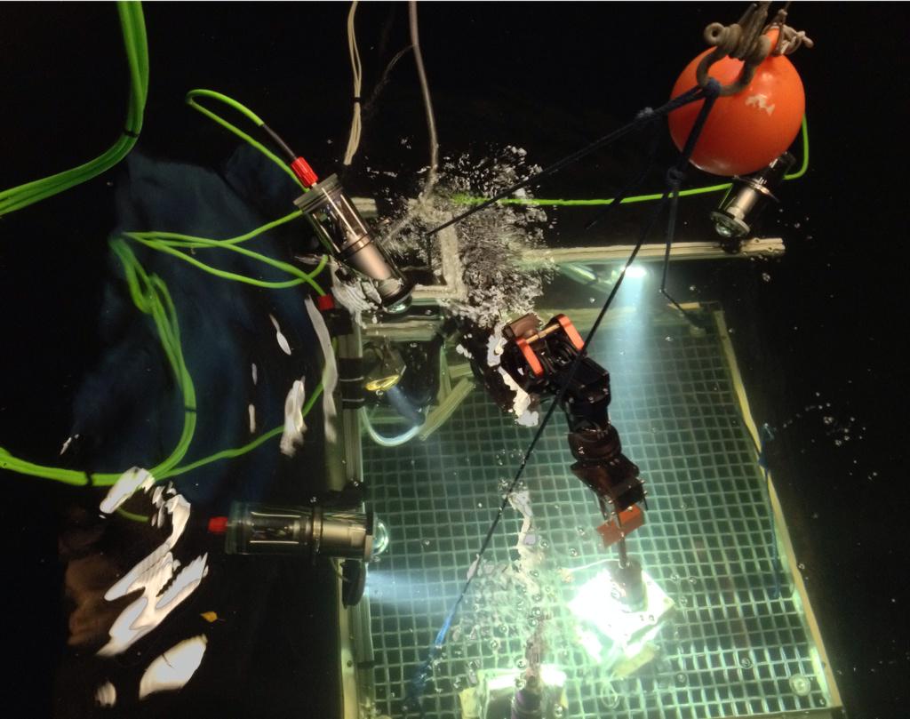 Olis Robotics tweet media