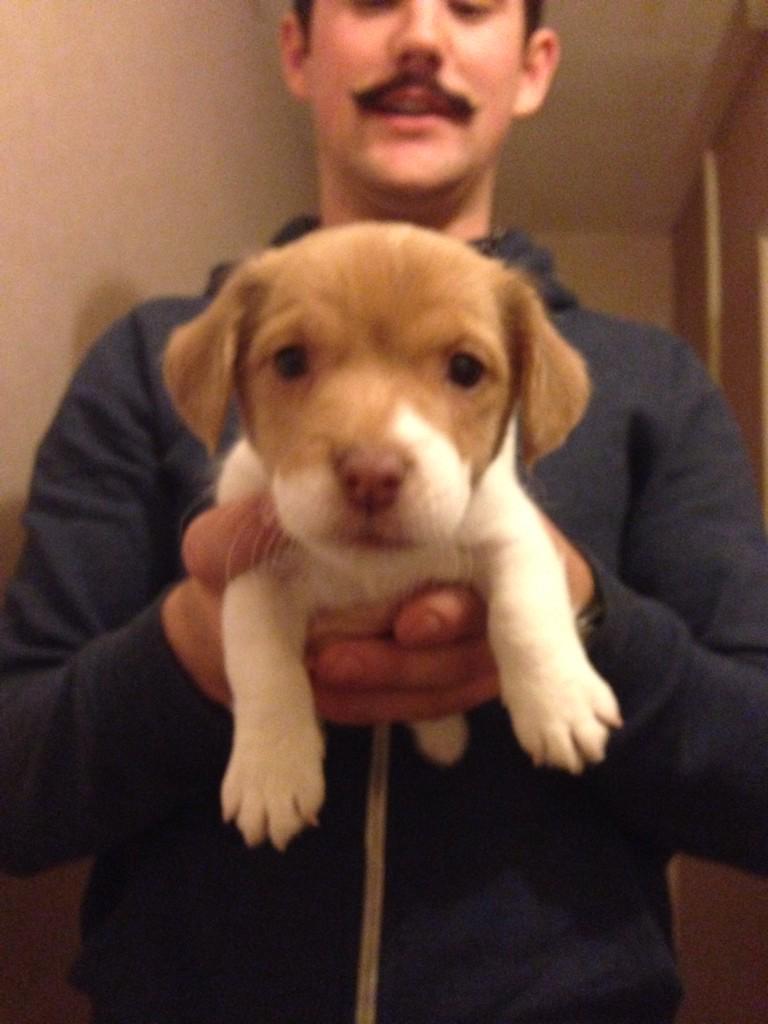 Priceyy92's tweet photo. Ahhhh, can't wait to get this baby on the 19th!! 😍😍😍😍 http://t.co/PNa54K2gmL
