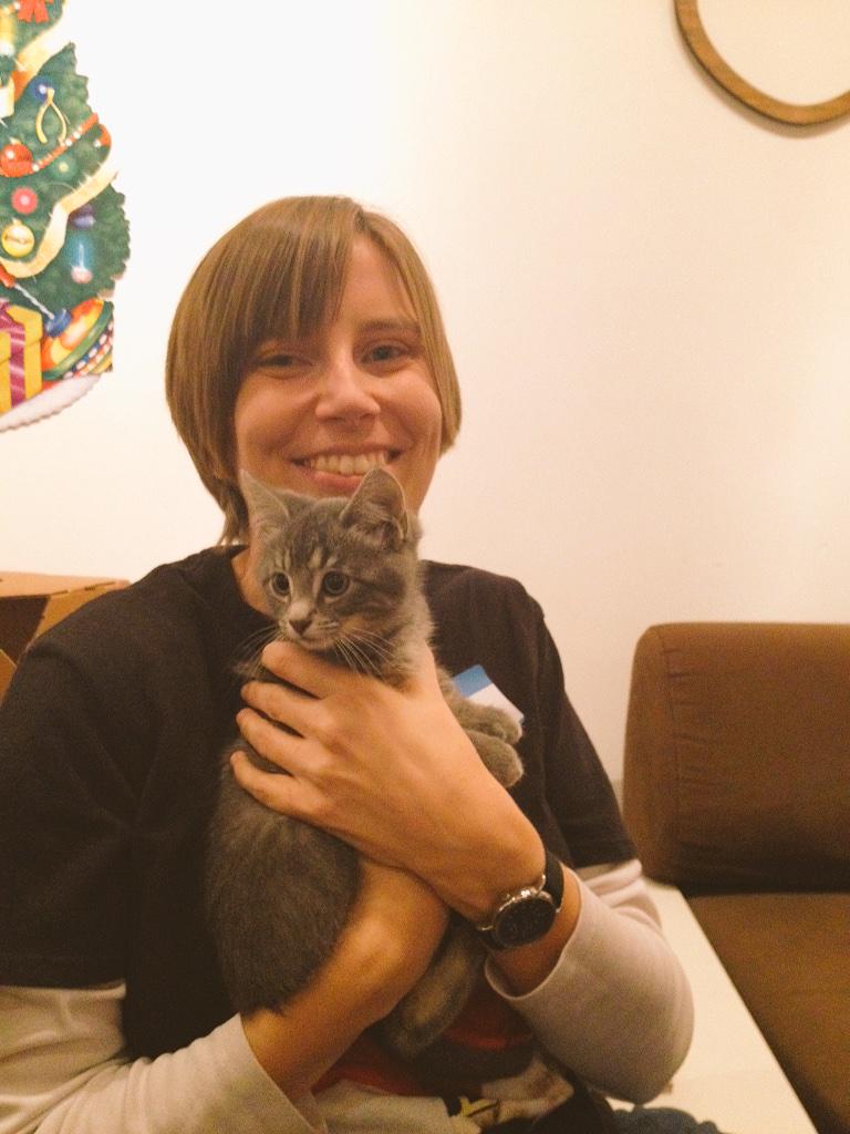 tenthlifecats's tweet image. Thanks for coming out to the #stlkittycafe, Saint Louis!! We had fun!!