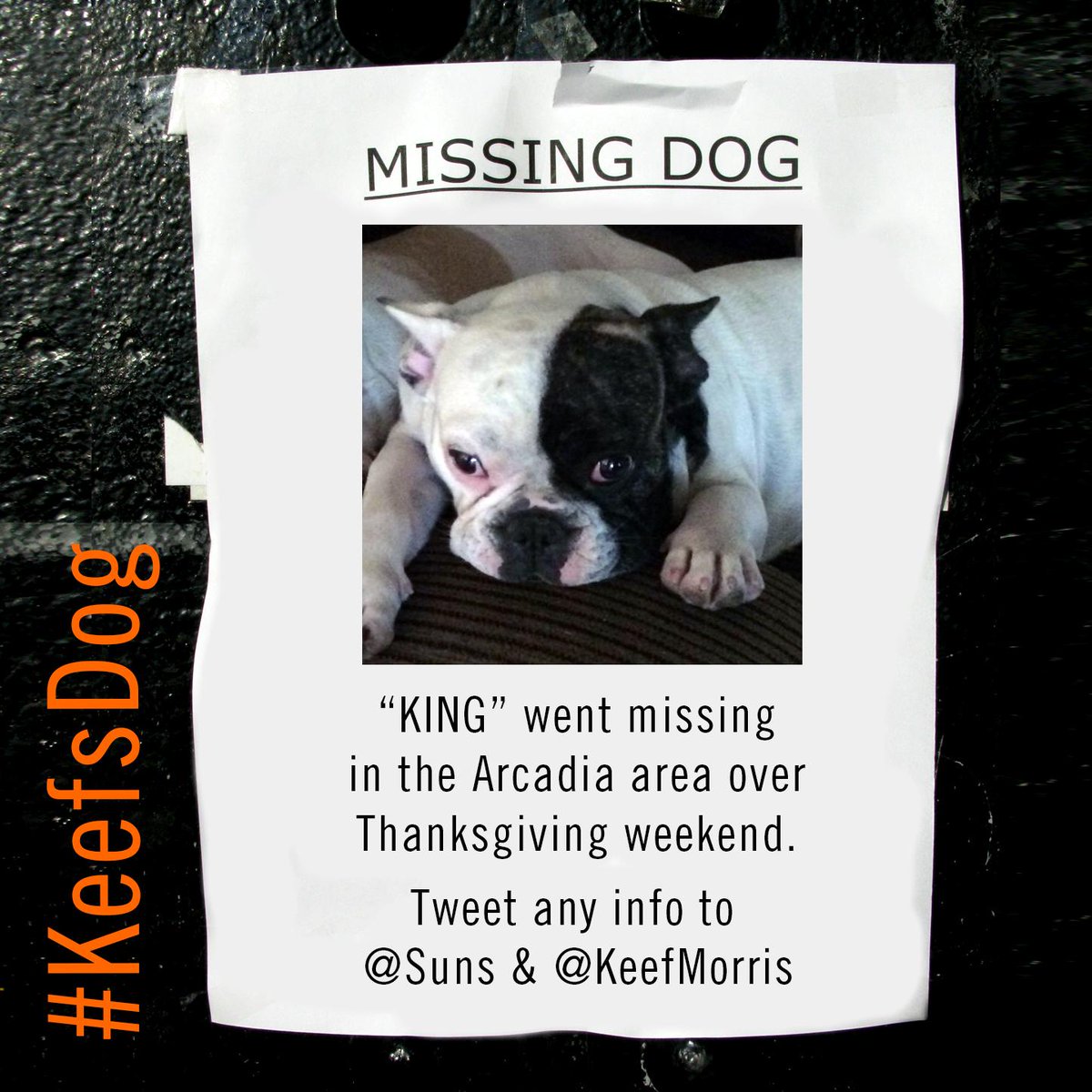 Suns's tweet photo. Suns forward @KeefMorris had his bulldog, King, go missing over Thanksgiving weekend. RT &amp; help us find #KeefsDog! http://t.co/df9MZu4JvN