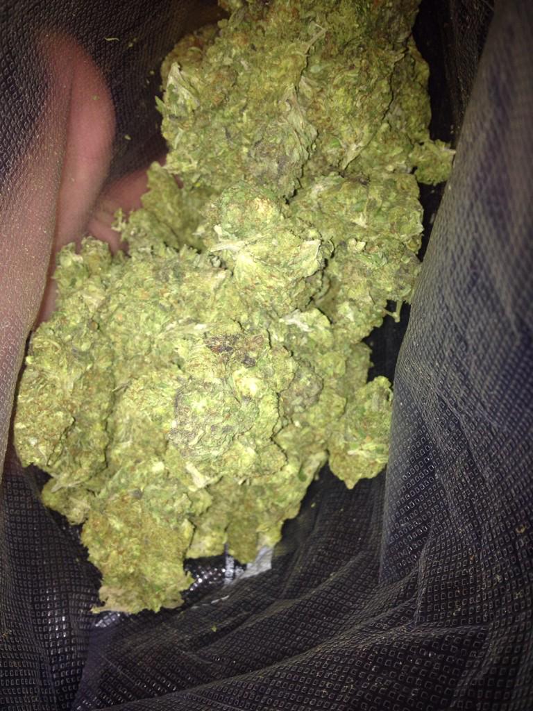 dank710's tweet image. #TheDank