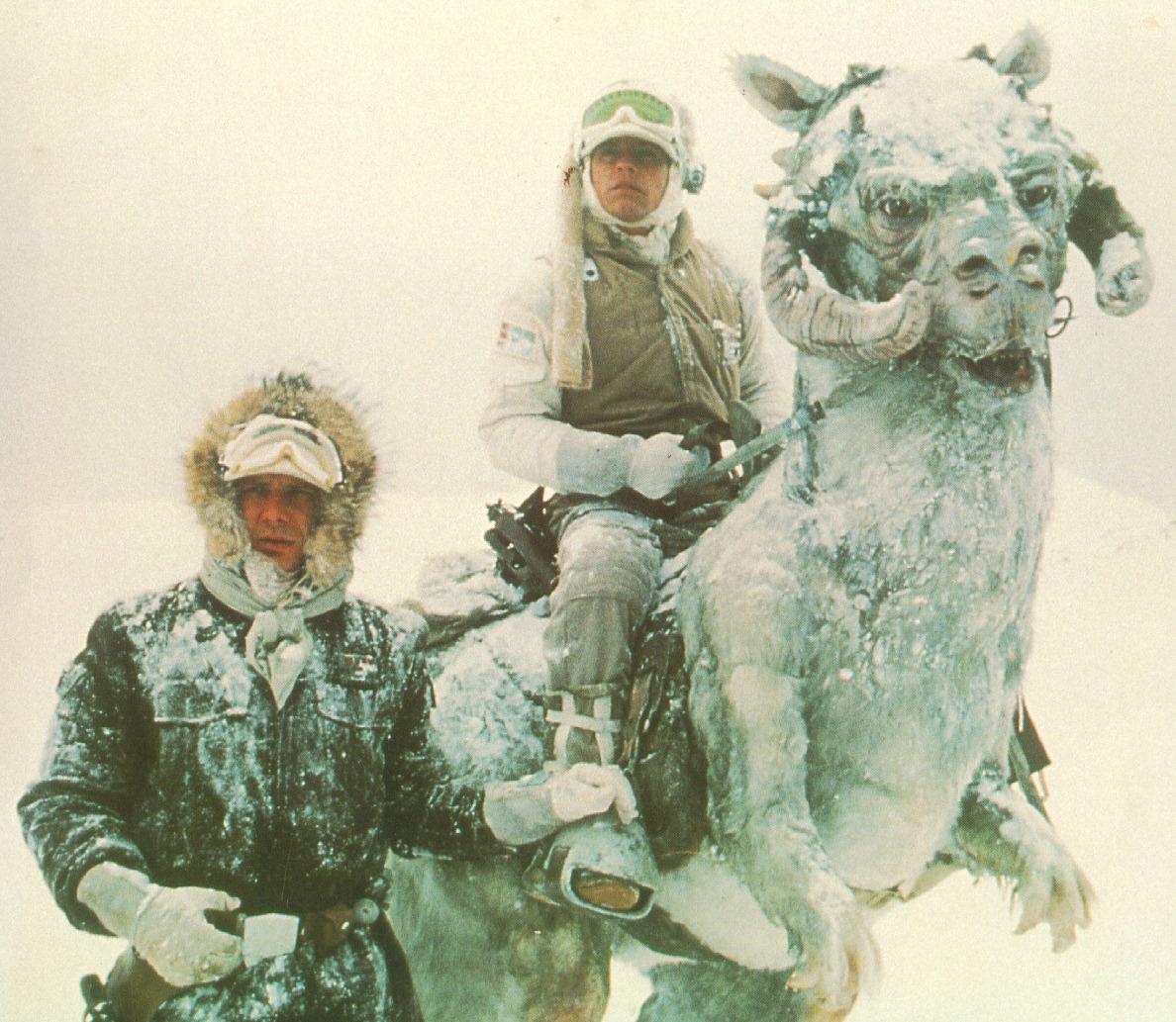 ZachWigal's tweet photo. People in Michigan watching Californians tweet about #BayAreaStorm are like: http://t.co/XOKRNvb2jT