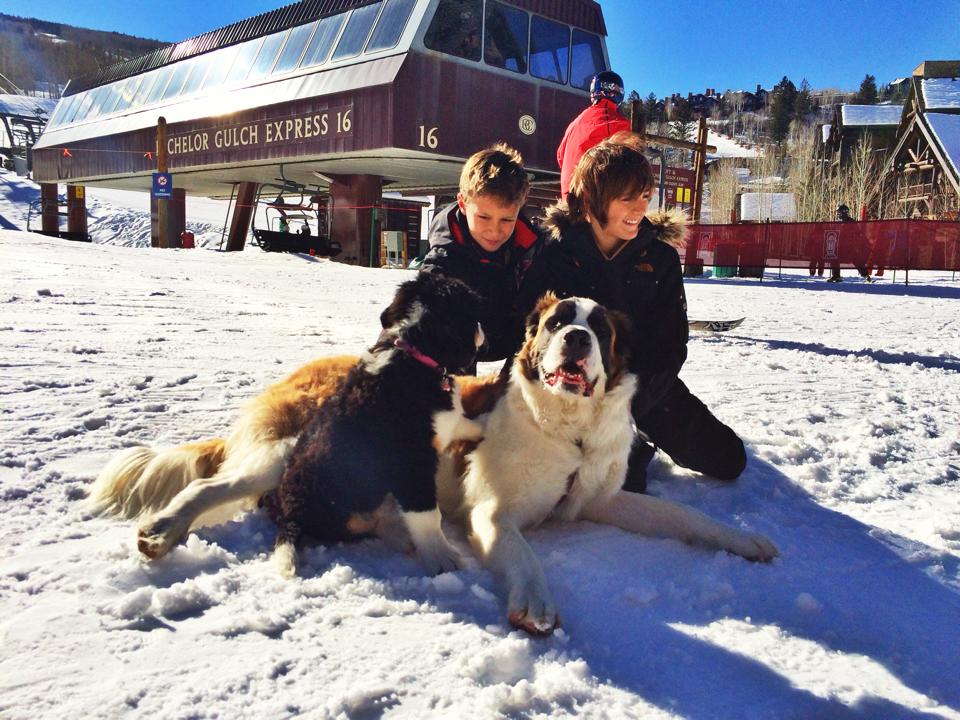 RitzCarlton's tweet photo. Guests of all ages @RitzCarlton #BachelorGulch can make friends w/ our resident dogs, Belle &amp; Bachelor. #bachelorpack http://t.co/Ie2SzogtmD