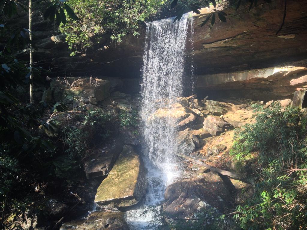 JesterRussell's tweet image. Bet you can't find me!!!