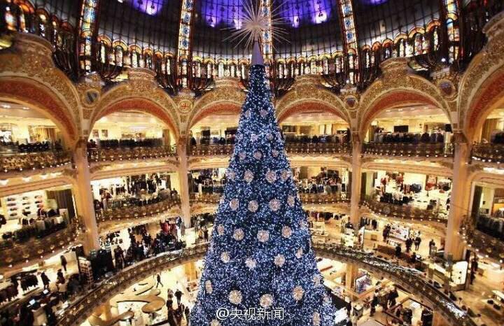 OhDevs's tweet image. Could you imagine having this big ole tree?