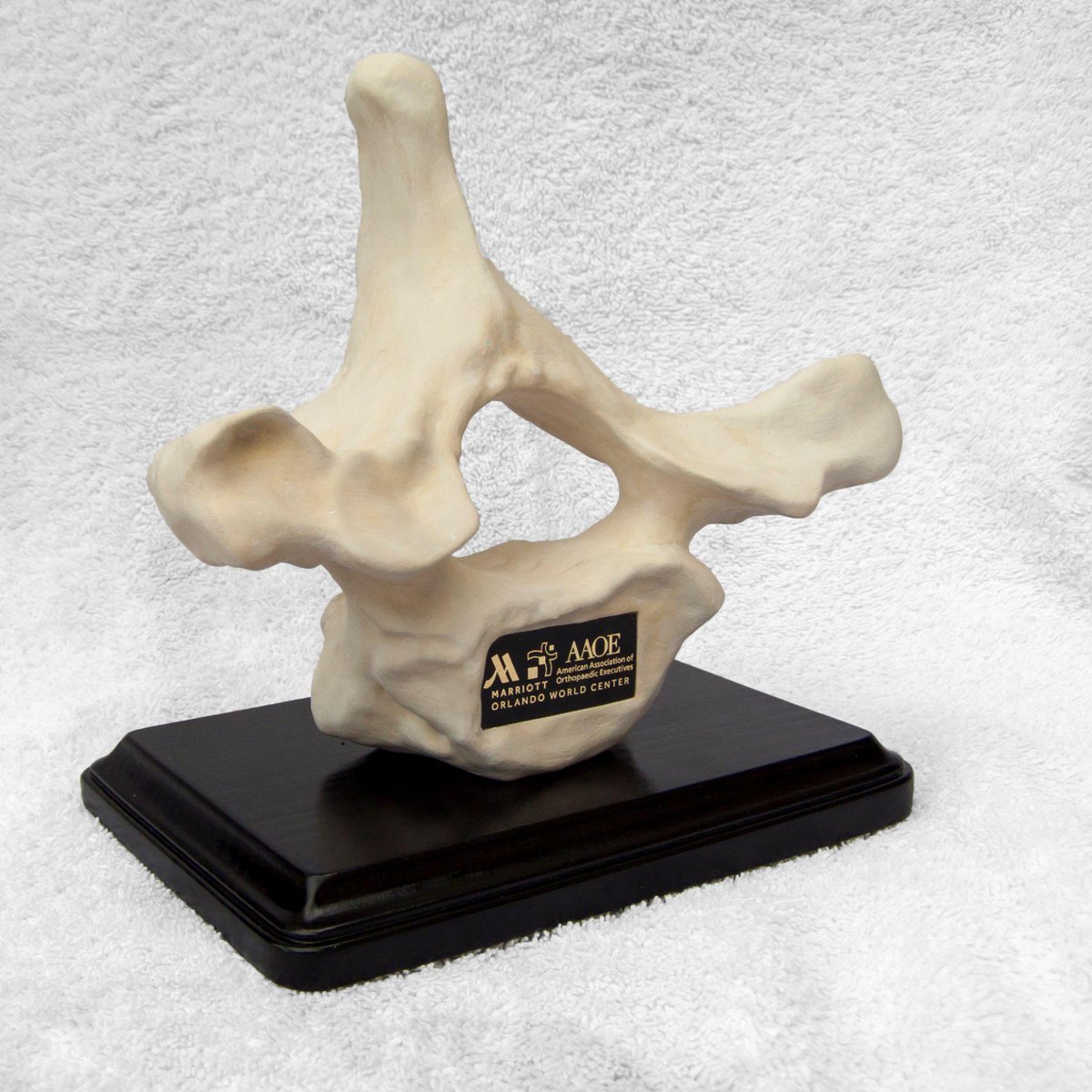 michael saville tweet media