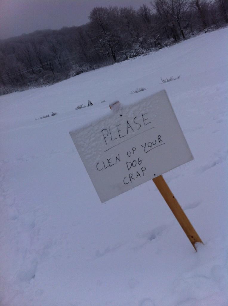 PhoebeM_C's tweet image. 💩 #staproblems #hardack