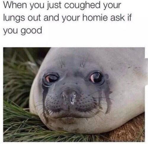 LovingLabrynth's tweet image. 