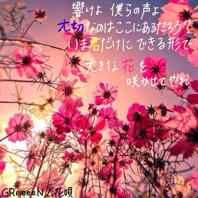 Greeeen 歌詞 画像 در توییتر 花唄 響けよ 僕らの声よ 大切なのは 胸 ここ にあるだろう 今君だけに出来る形で 大きな花を咲かせてやれ Greeeen 花唄 Http T Co Hwn3ue5tud