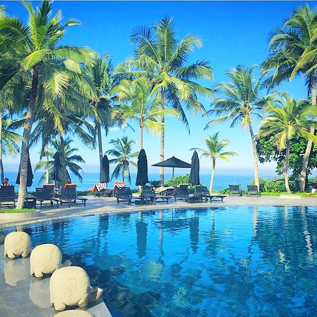 HashtagSriLanka's tweet photo. Good Morning Beautiful Hot Sunny Morning #Srilanka
Photo @sariharbo79
#Pool #swimmingpool #cocanut #tree #Relax... http://t.co/9YEJbMuPnv