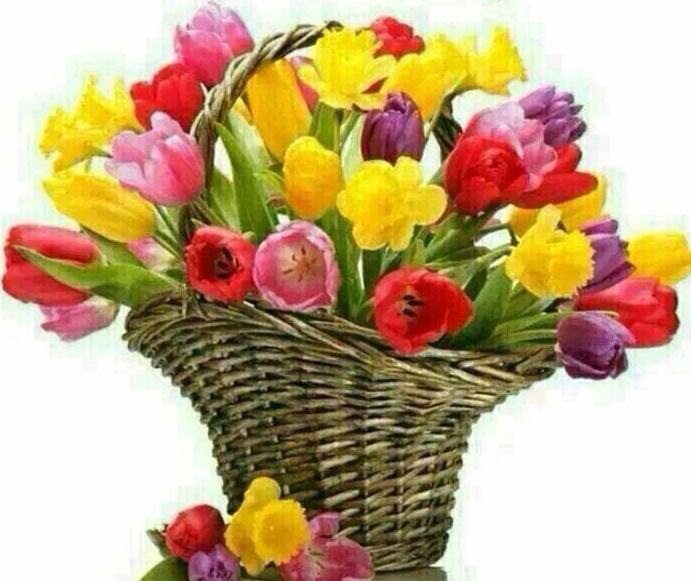 " Wishing Sharad Pawar ji a very happy birthday. BIRTHDAY ! 