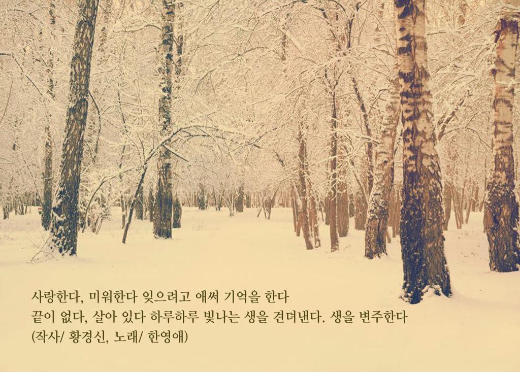 사랑한다, 미워한다 잊으려고 애써 다짐을 한다. 애원한다, 슬퍼한다 하루하루 빛나는 생을 견뎌낸다._황경신 작사, 한영애 노래 [하루하루]