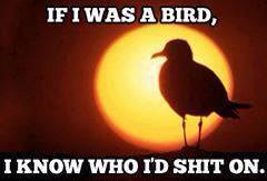lacey_jam's tweet photo. #jokes http://t.co/2crhkD6nKU